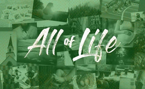 All of Life